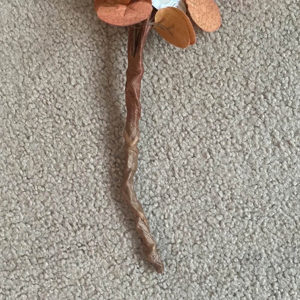 Ragoon House Orange Eucalyptus